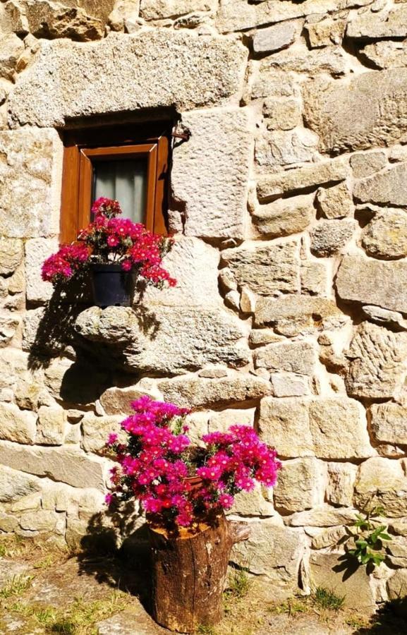 Casa Do Castiro Villa Palas de Rei Luaran gambar